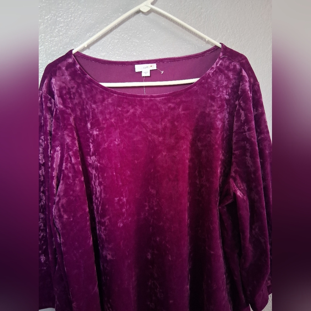 J Jill NWT Velvet 3/4 Sleeve Popover Top Sugarbeet 2X - Picture 2 of 7